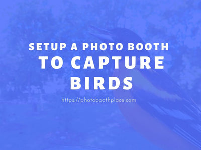 Setup a Photo Booth to Capture Birds